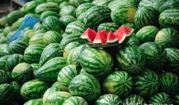 西瓜网吃瓜网站,揭秘网络吃瓜文化的崛起与影响