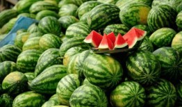 南北对战带你吃瓜,一场别开生面的吃瓜盛宴