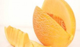 脯乳期可以吃哈密瓜吗,哺乳期妈妈可以安心享用的哈密瓜美味