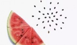 吃瓜吐籽故事,吃瓜吐籽背后的趣味故事