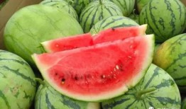 都是在哪吃瓜,揭秘全球各地独特的“吃瓜”文化