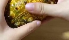 梦到吃瓜难吃,揭秘吃瓜难吃的神秘寓意