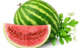 夏天容易吃瓜,缤纷瓜果盛宴