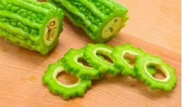 塔子山吃瓜,畅享清凉，品味生活