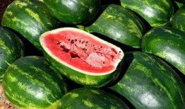 51泡泡吃瓜下载,揭秘热门话题背后的真相与趣味