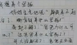 小学作文吃瓜,一场别开生面的“吃瓜”之旅