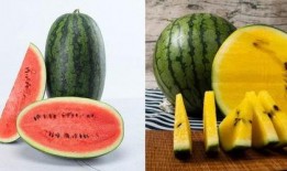 519吃瓜网,519吃瓜网带你领略明星幕后故事