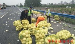 石门吃瓜群众,揭秘当地生活百态