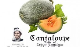 2024吃瓜卖房,2024年吃瓜群众如何通过卖房实现财富增值