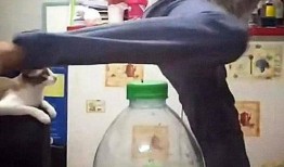 土狗吃瓜的视频,欢乐无限，带你领略田园生活趣味