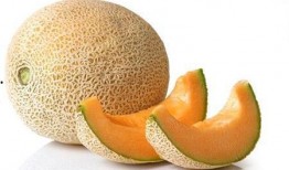 板粟能和哈密瓜一起吃吗,健康美味两不误