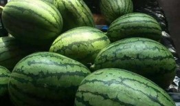 光着膀子吃瓜,光膀子吃瓜，畅享清凉时光