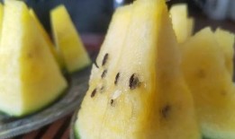 上海滩吃瓜,揭秘滩上吃瓜群众的传奇故事