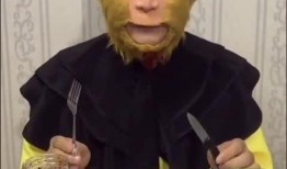 仙桃吃瓜直播间,揭秘娱乐圈幕后故事