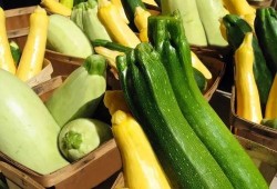 在哪里吃热门瓜最多,热门瓜的聚集地，这里是你不容错过的美食天堂