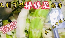 句容老师吃瓜,一场校园风波的幕后真相