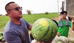 天黑黑吃瓜,一场神秘吃瓜大揭秘