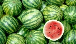 吃瓜这种东西,网络时代的围观文化现象