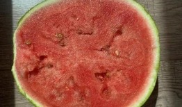 吃生瓜会发烧,揭秘生食瓜果的风险与应对