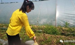 不问别急吃瓜版,揭秘娱乐圈幕后故事