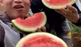 精神小伙吃瓜全集,笑料百出，揭秘娱乐圈幕后故事