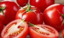 刘大瓜吃番茄,一场味蕾的狂欢之旅