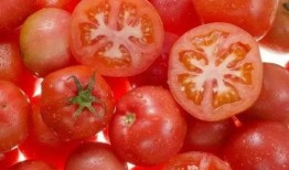 刘大瓜吃番茄,一场味蕾的狂欢之旅