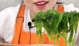 吃瓜博主吃海藻,吃瓜博主带你探索海洋美味之旅