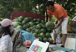 山东济宁吃瓜事件,一场网络热议背后的真相与反思