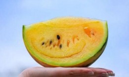 小韦吃瓜,揭秘娱乐圈那些不为人知的幕后故事