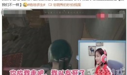 吃鸡女主播瓜,揭秘吃鸡女主播瓜背后的故事