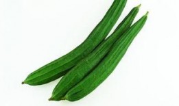 吃瓜成人网,吃瓜成人网带你领略明星幕后故事