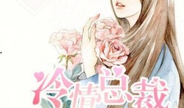 吃瓜小说动漫,穿越动漫世界的甜蜜冒险