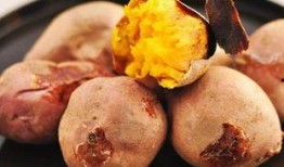 锦州大专吃瓜,揭秘校园里的那些“瓜”