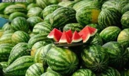 吃瓜坑骗,网络谣言背后的真相与防范