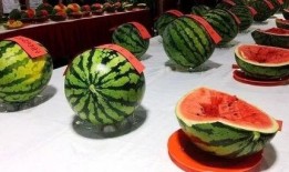 梁小瓜吃西瓜,梁小瓜的甜蜜西瓜之旅