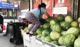 吃瓜 的路人,揭秘街头巷尾的趣味故事