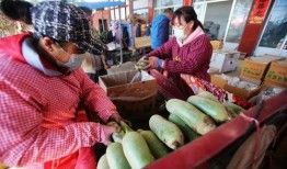 滕州小三吃瓜,一场引发全民关注的情感漩涡