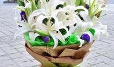 泗水花店吃瓜,吃瓜群众的温馨聚集地