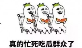 吃瓜群众的分析,吃瓜群众视角下的明星幕后故事