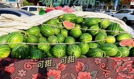 郑州吃瓜,一网打尽那些让人“吃瓜”欲罢不能的佳肴