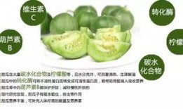 绿色精灵吃瓜,绿色精灵的甜蜜瓜果盛宴