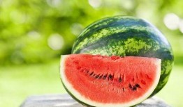 西瓜网吃瓜网站,揭秘网络吃瓜文化的崛起与影响